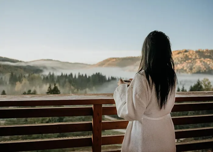 Отель Partizan Тале