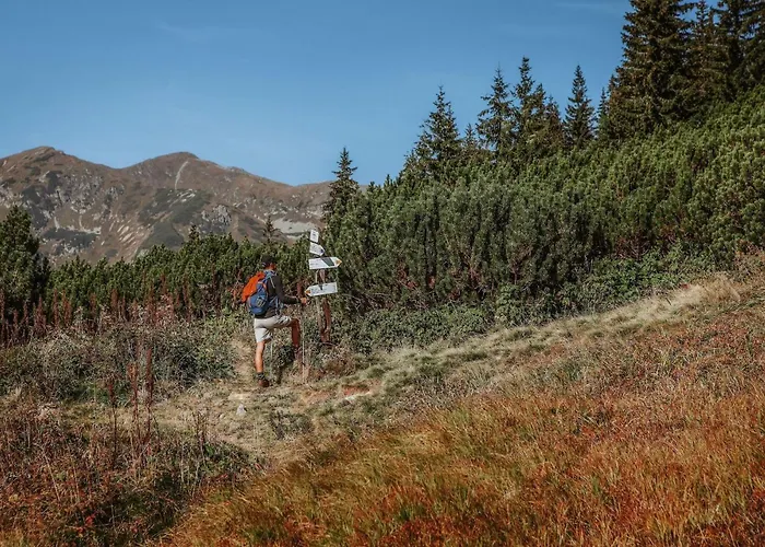 Partizan Отель Тале